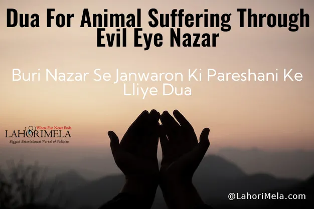 Dua For Animal Suffering Through Evil Eye (nazar)