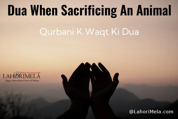 Dua When Sacrificing An Animal