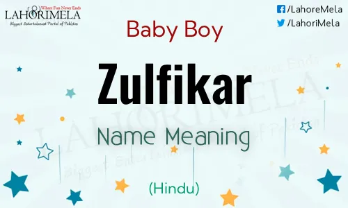 Hindu Zulfikar Name Meaning
